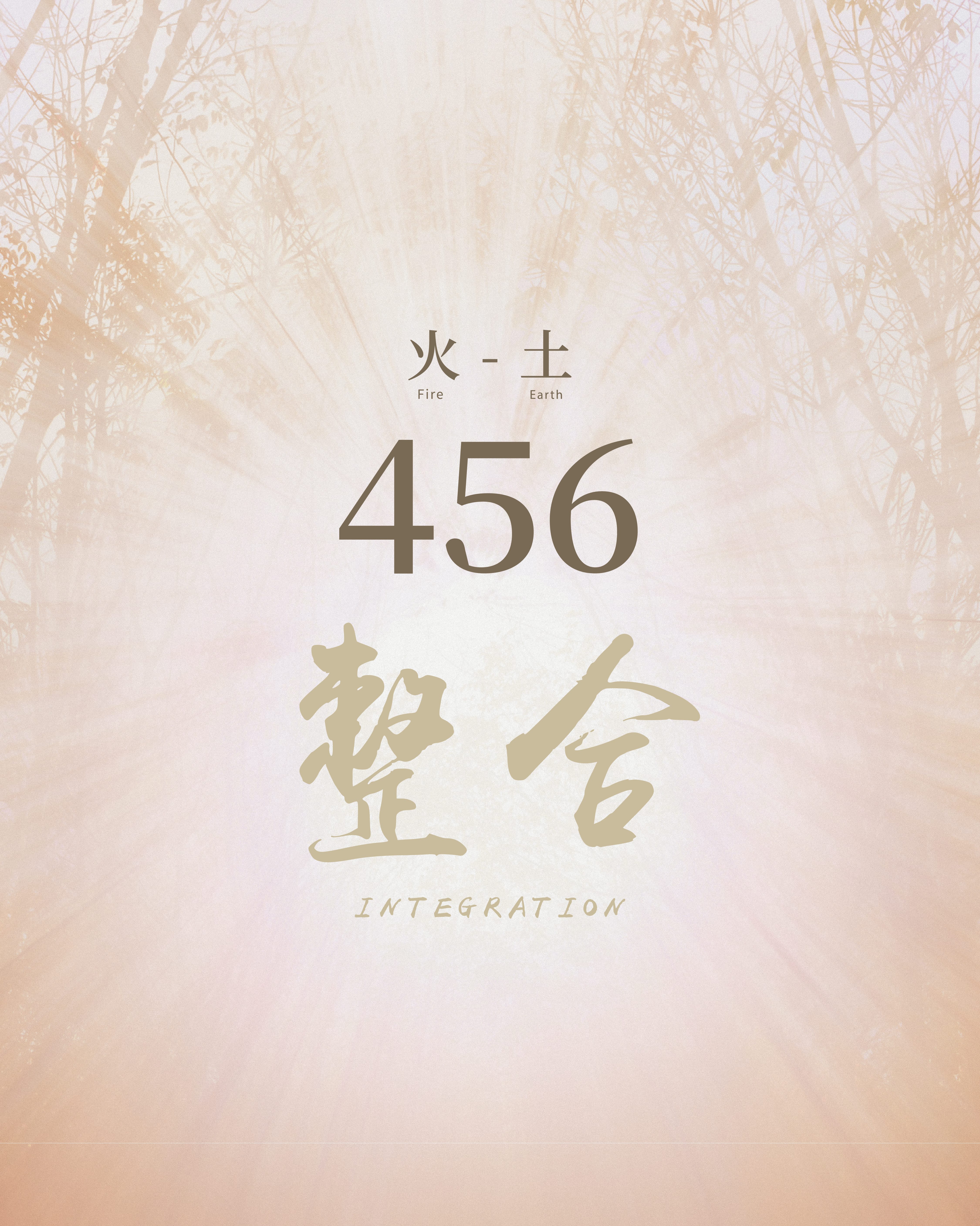456 整合連線 · 火土